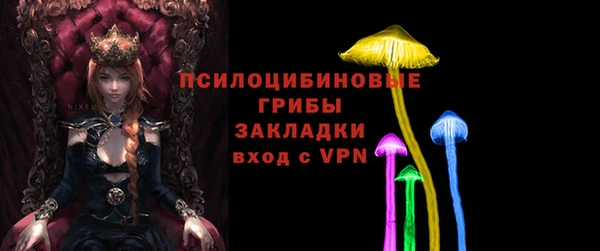 МДПВ Абаза