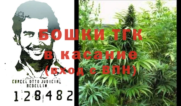 прущие грибы Абинск