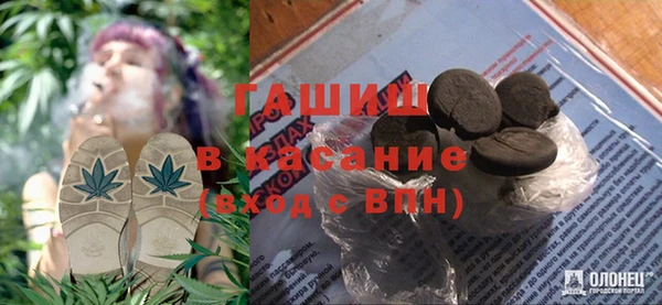 прущие грибы Абинск
