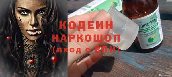 прущие грибы Абинск