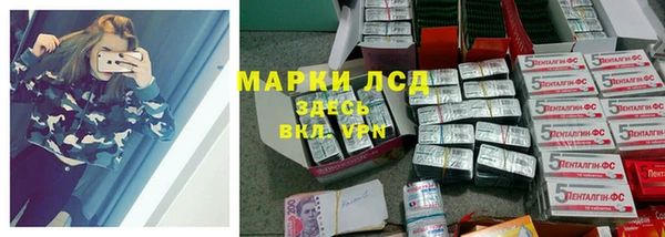 прущие грибы Абинск