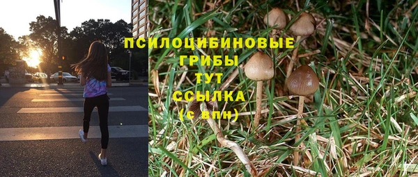 МДПВ Абаза