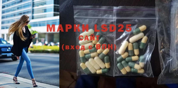 прущие грибы Абинск