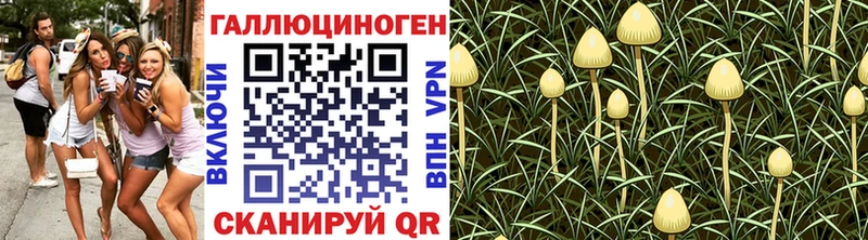 блэк спрут ССЫЛКА  Майский  Галлюциногенные грибы прущие грибы 
