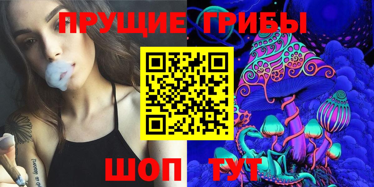 Галлюциногенные грибы мицелий  Псилоцибиновые грибы прущие грибы  Вход с VPN  Майский 