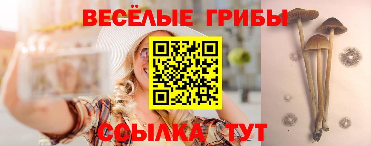 Псилоцибиновые грибы MAGIC MUSHROOMS Майский